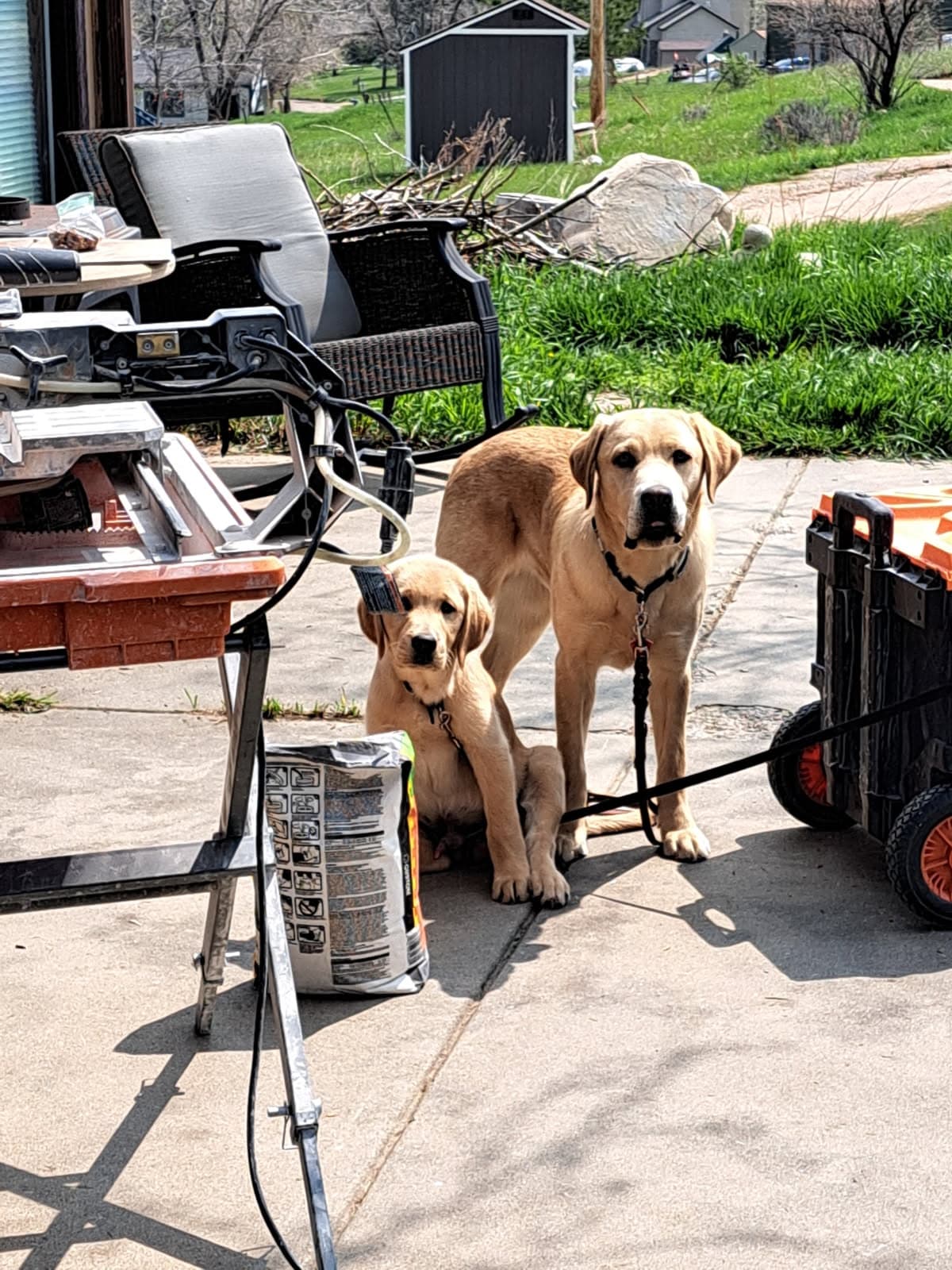 Project Innovative Bathroom Transformation and Outdoor Setup image