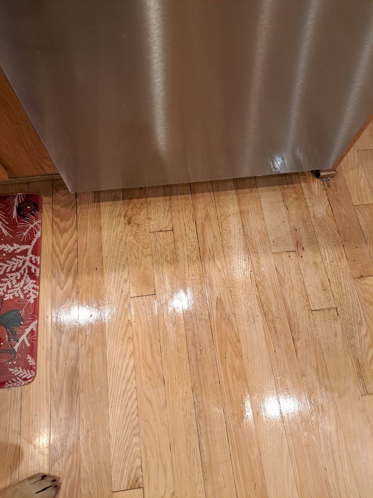 Project Kitchen Floor Restoration and Repair image