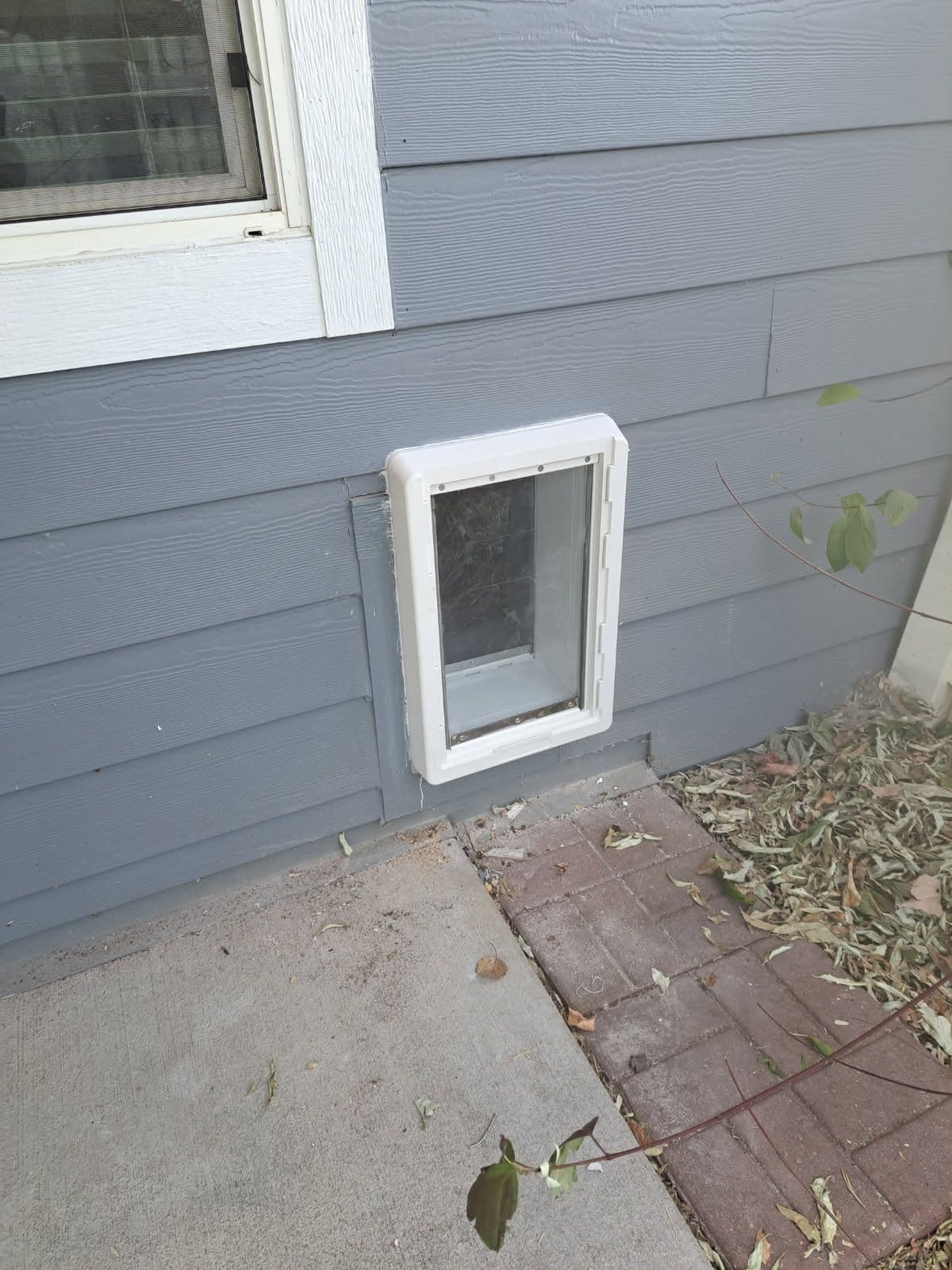 Gallery photos for New Pet Door Installation: Image #1