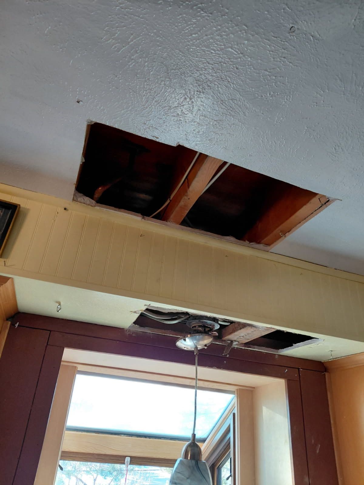 Ceiling Repair and Lighting Upgrade